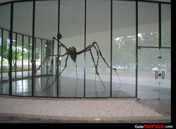 Aranha Gigante Exposta no MAM