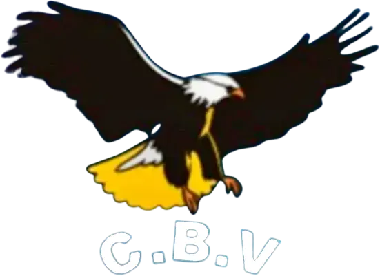 Logo Vidraçaria Ideal