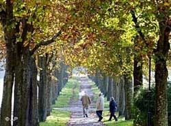 Parques e Áreas Verdes em Moema