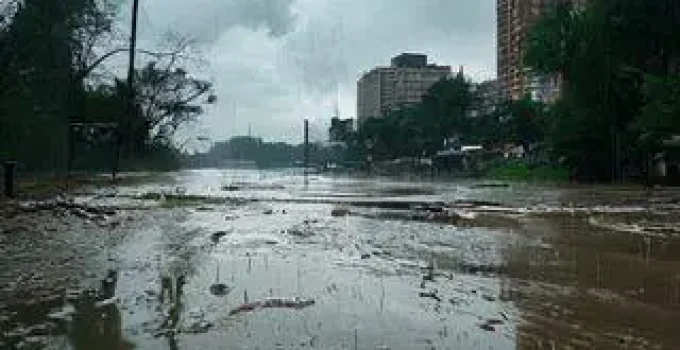 chuva provoca estragos