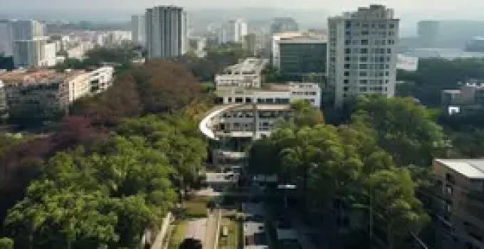 Moema e Ibirapuera