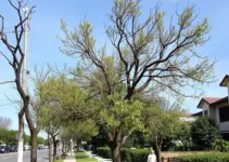 CET - Companhia de Engenharia de Tráfego