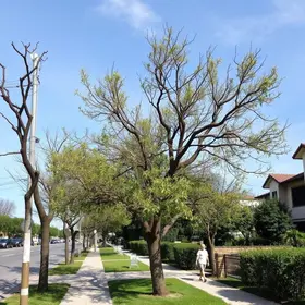 CET - Companhia de Engenharia de Tráfego