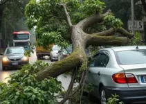 árvore cai sobre carro