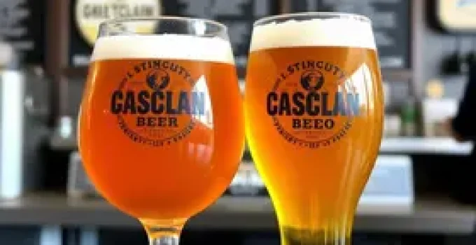 cerveja artesanal
