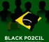 Anuário da População Negra no Brasil
