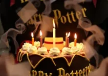 aniversário de Harry Potter