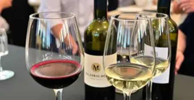 Evento de Oráculos e Vinhos
