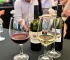 Evento de Oráculos e Vinhos