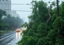 chuva em São Paulo