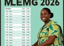 Eleições 2026 em Moema (MG)
